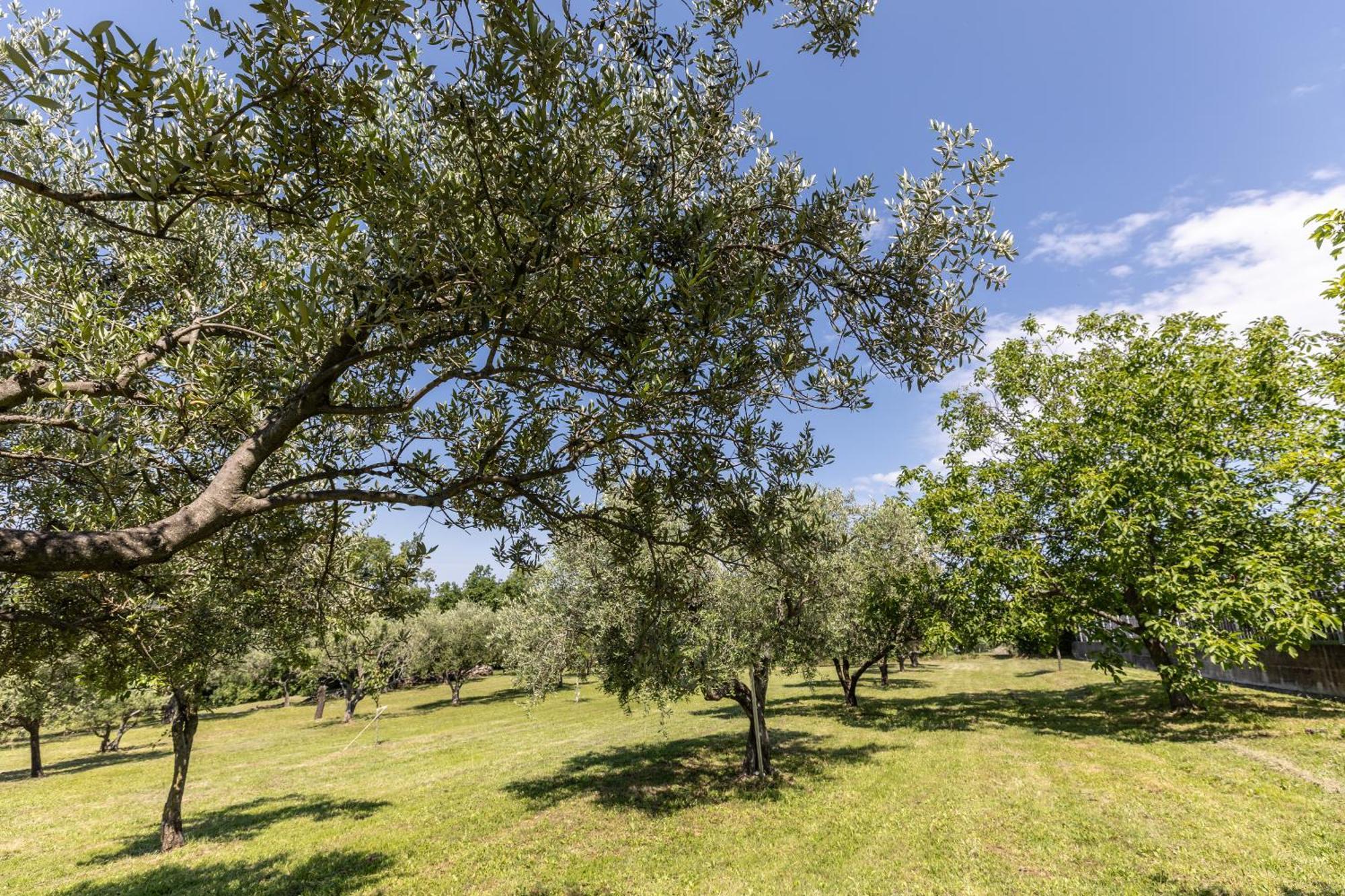 Affittacamere Cigui Muggia Exterior photo