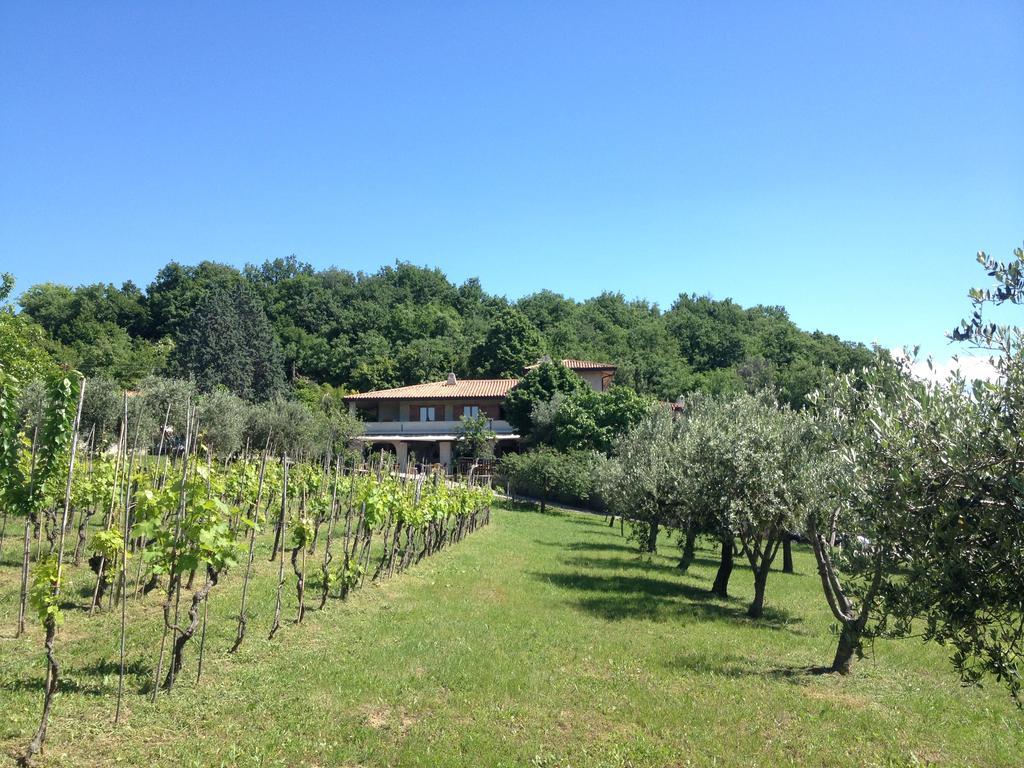 Affittacamere Cigui Muggia Exterior photo